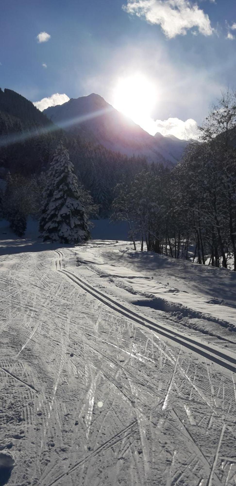 Stubai Apartment Telfes テルフェス・イム・シュトゥーバイ エクステリア 写真